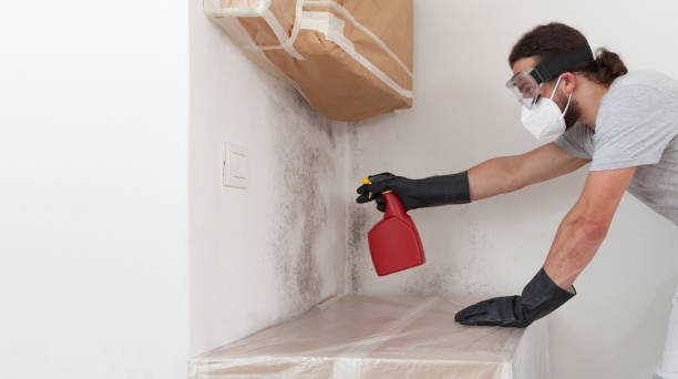 Professional Basement Mold Remediation technician working in Kings Park, NY